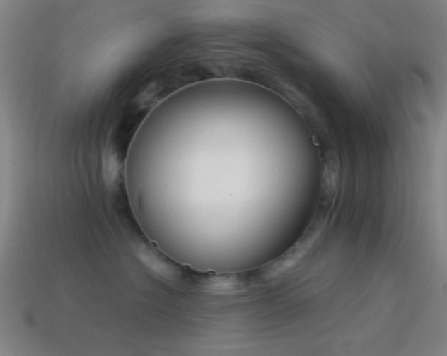 X0000114410574200910161209