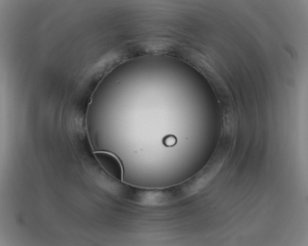 X0000114410575200910161209