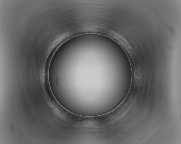 X0000114410578200910161209