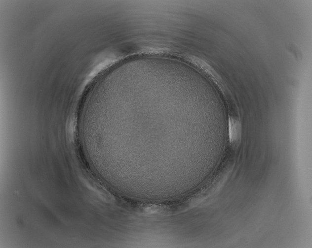 X0000114410579200910161209