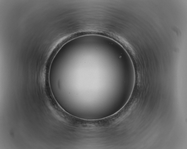 X0000114410580200910161209