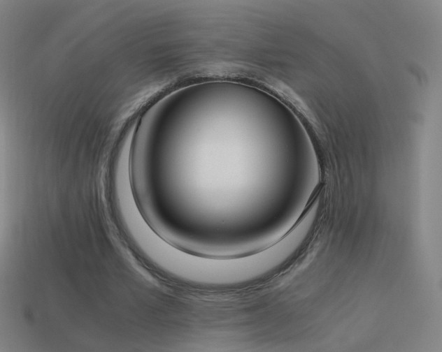 X0000114410581200910161209