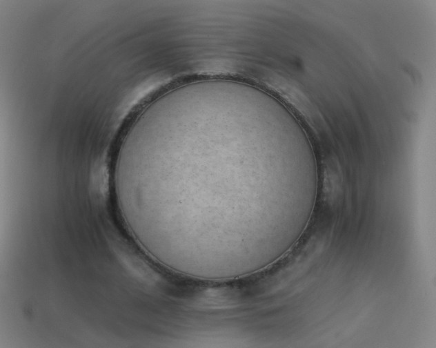X0000114410584200910161208