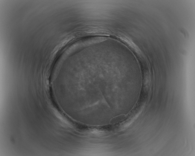 X0000114410585200910161208