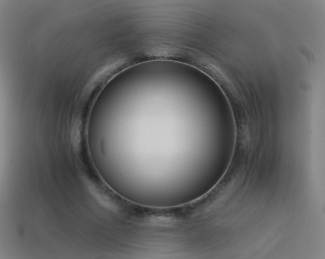 X0000114410586200910161208