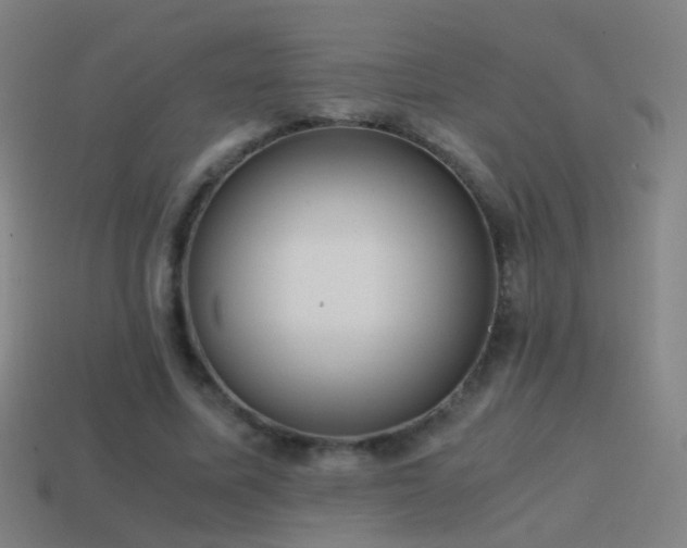 X0000114410587200910161208