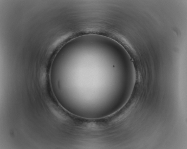 X0000114410588200910161208
