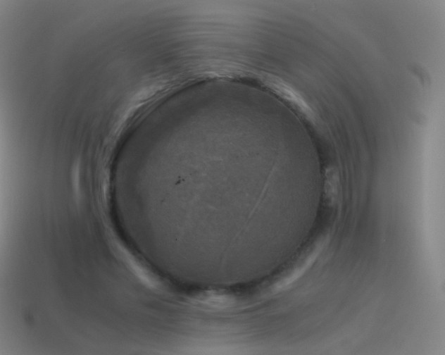 X0000114410589200910161208