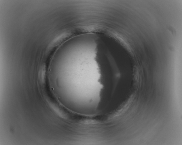 X0000114410590200910161208