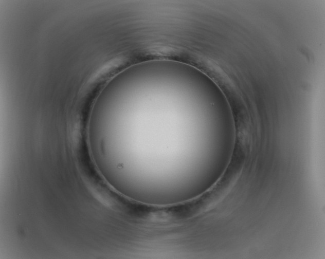 X0000114410591200910161208