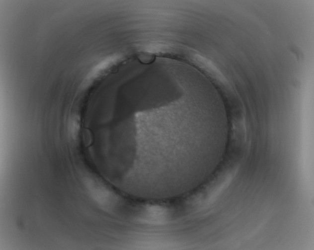 X0000114410592200910161208
