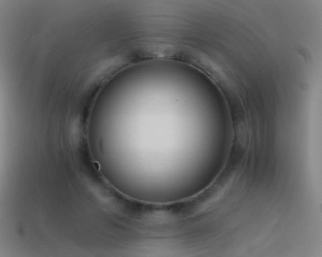 X0000114410594200910161208