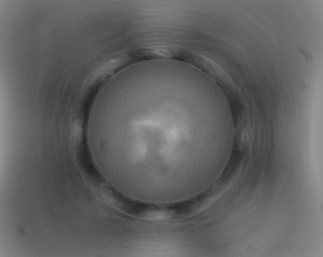 X0000114410595200910161208