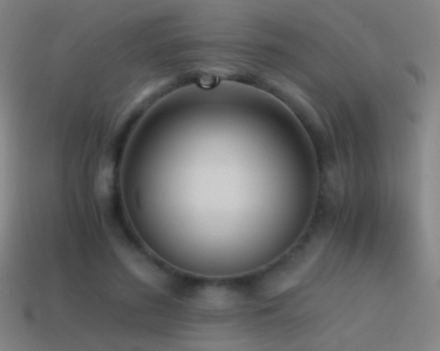 X0000114410596200910161208