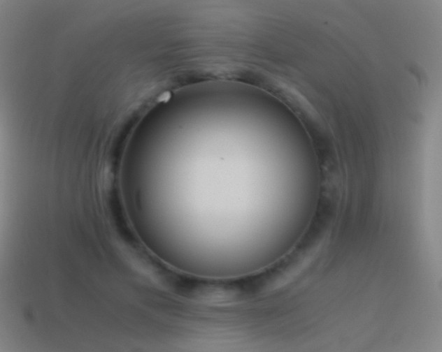 X0000114410597200910161208