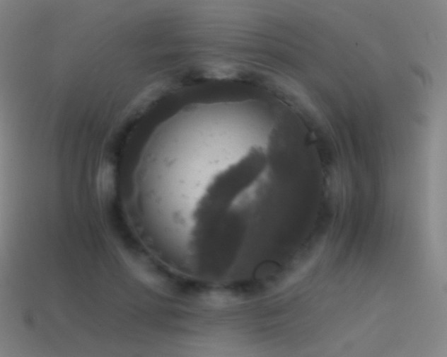 X0000114410598200910161208