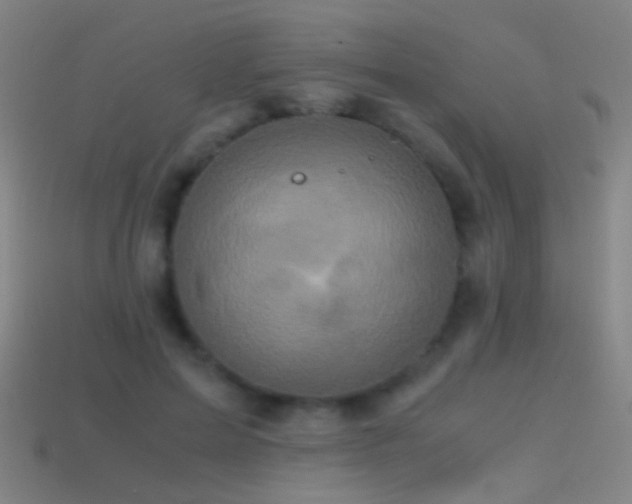 X0000114410599200910161208