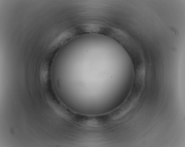 X0000114410600200910161208