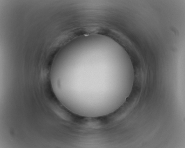 X0000114410601200910161208