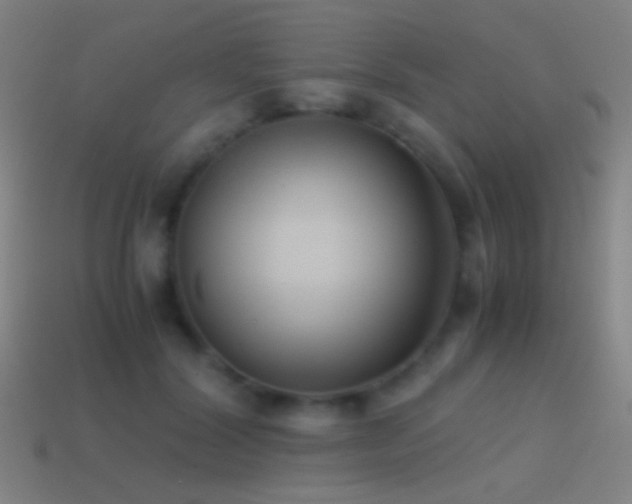 X0000114410604200910161208