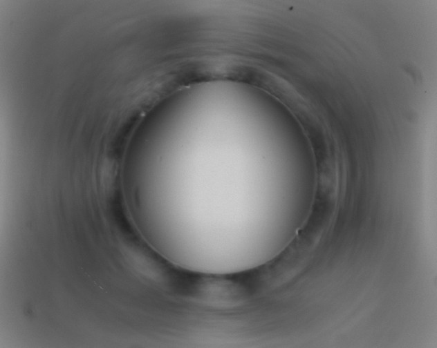 X0000114410605200910161208