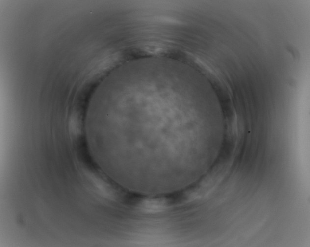 X0000114410606200910161208