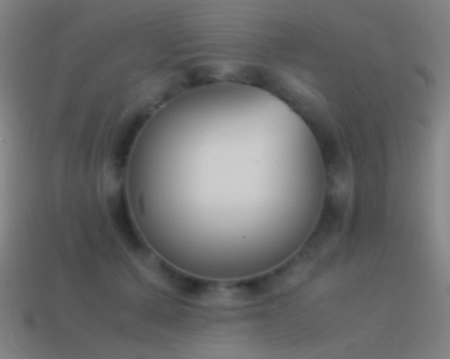 X0000114410607200910161208