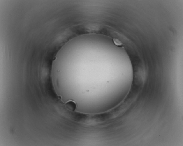 X0000114410608200910161208