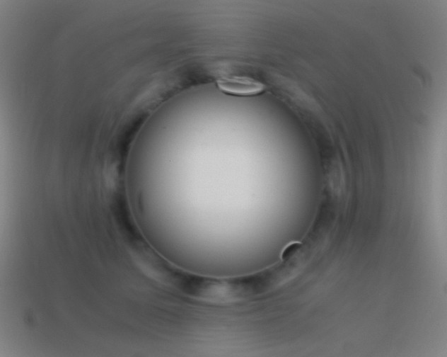X0000114410611200910161208
