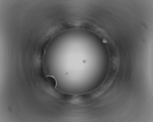 X0000114410612200910161208