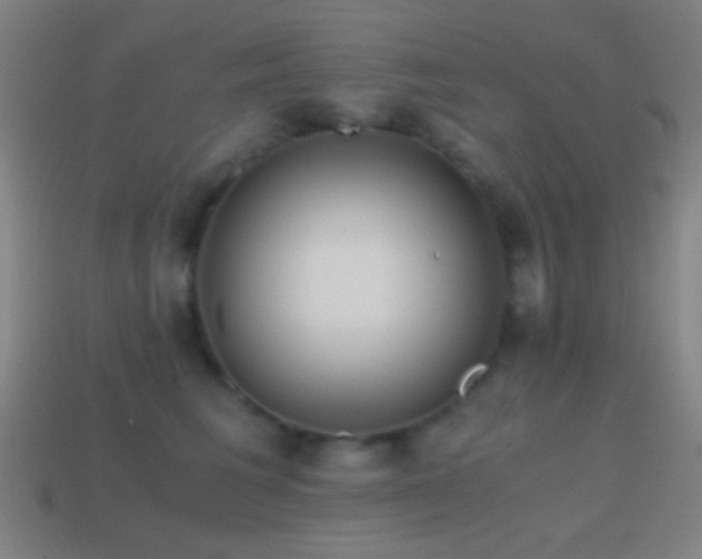 X0000114410613200910161208