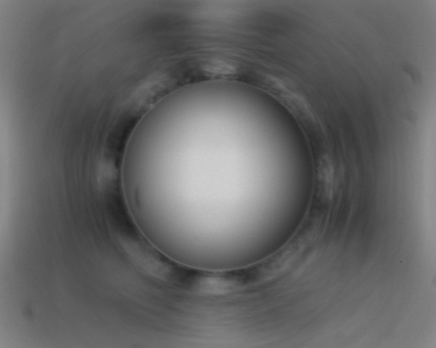 X0000114410614200910161208