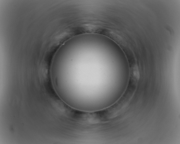 X0000114410615200910161208