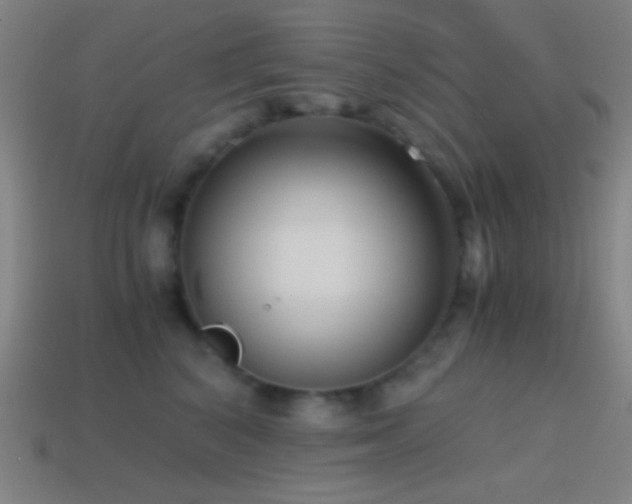 X0000114410616200910161208