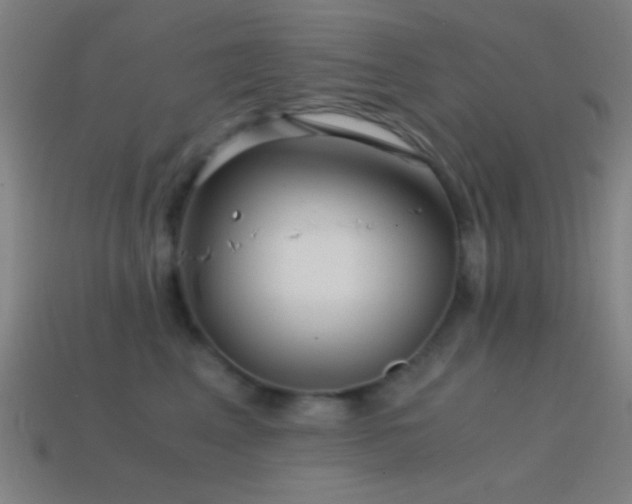 X0000114410617200910161208