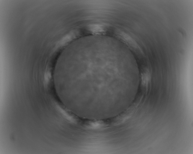 X0000114410618200910161208