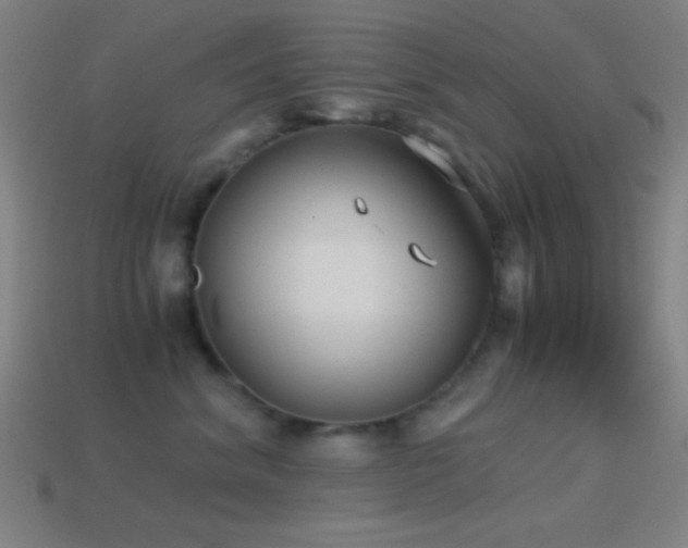 X0000114410620200910161208