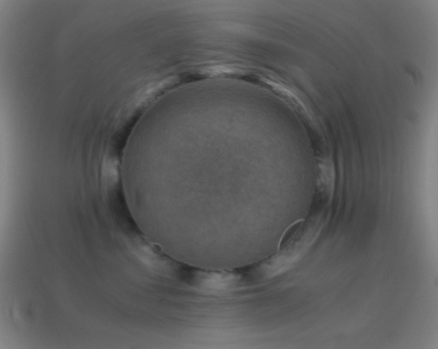 X0000114410621200910161208