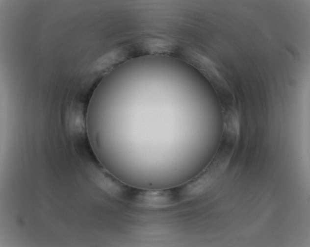 X0000114410622200910161208