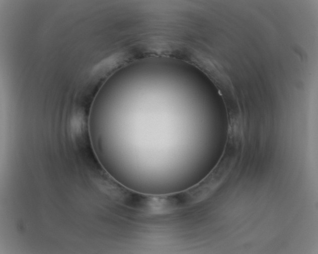 X0000114410623200910161208