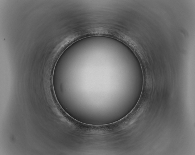 X0000114410625200910161207