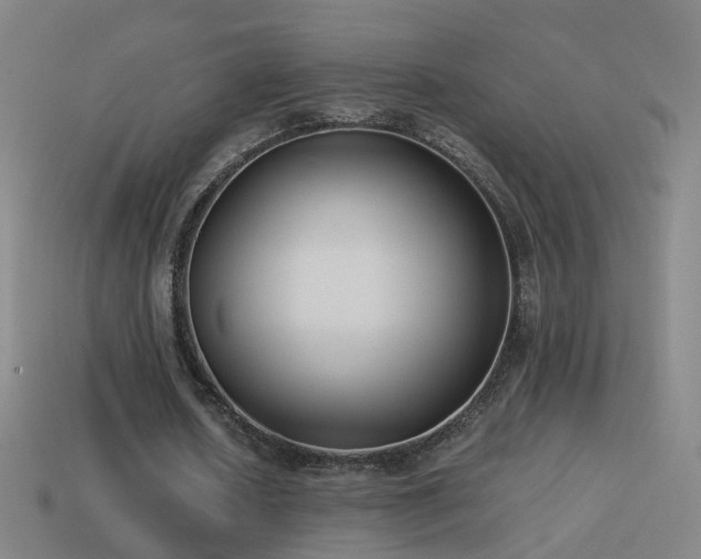 X0000114410626200910161207