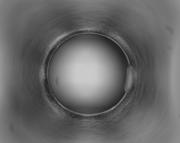 X0000114410628200910161207