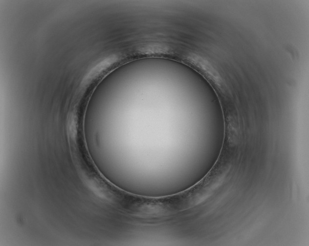 X0000114410631200910161207