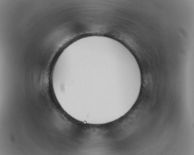 X0000114410632200910161207