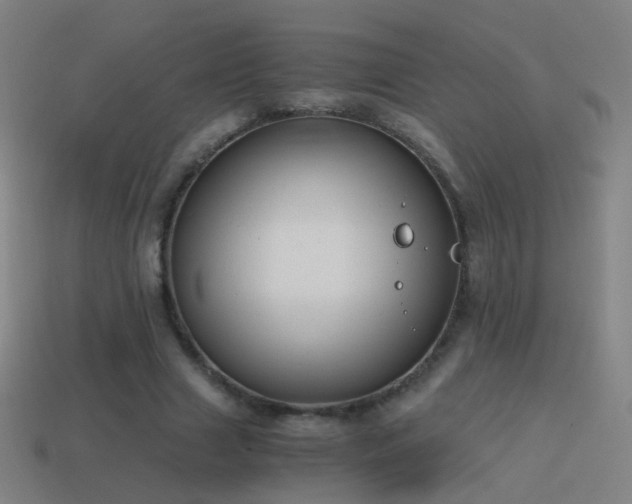 X0000114410633200910161207