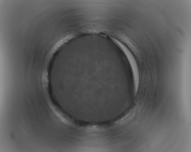 X0000114410634200910161207