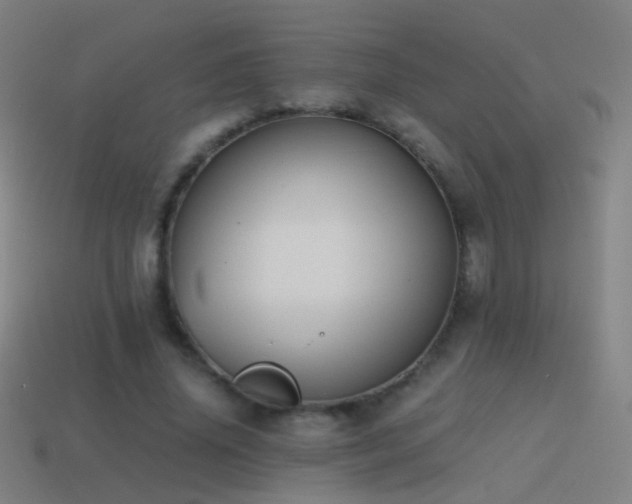 X0000114410636200910161207