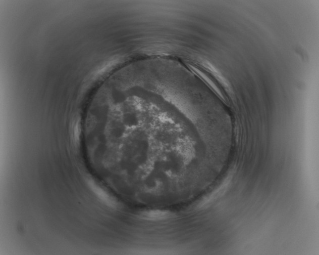 X0000114410637200910161207