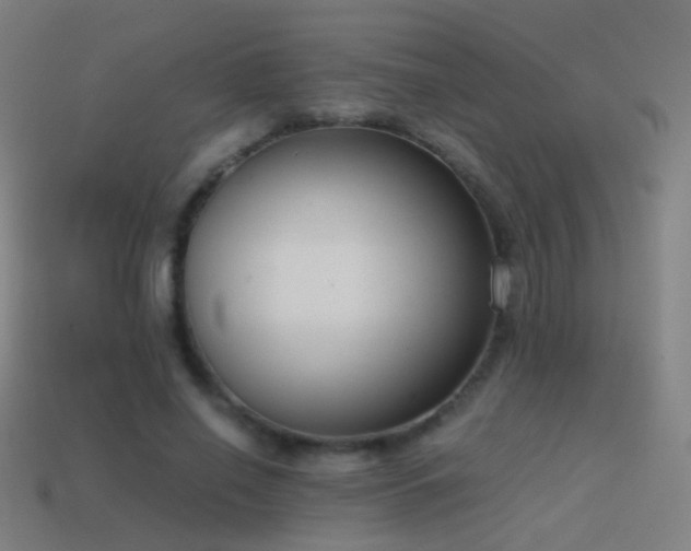 X0000114410638200910161207